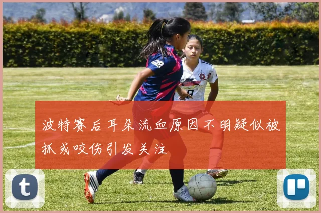 波特赛后耳朵流血原因不明疑似被抓或咬伤引发关注